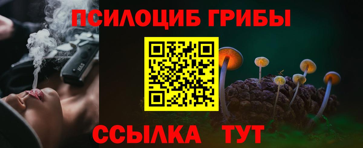 закладка  Псилоцибиновые грибы мицелий  Вход с VPN  Псилоцибиновые грибы мицелий  Касимов 